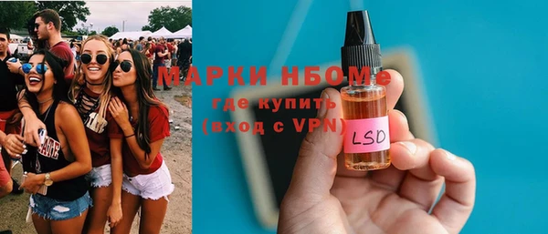 прущие грибы Надым