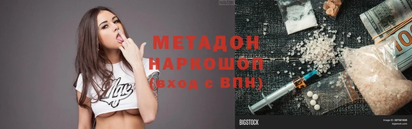 прущие грибы Надым