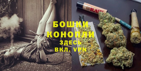 прущие грибы Надым