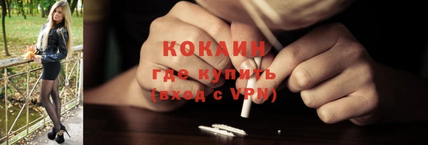 прущие грибы Надым