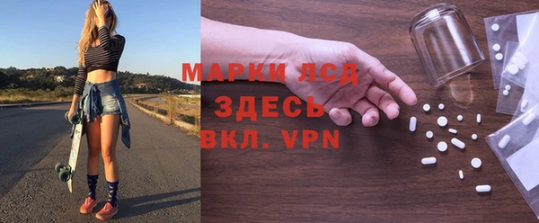 прущие грибы Надым